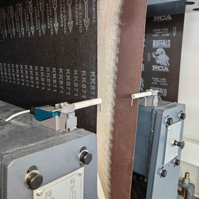 Vacuum Adsorption Sanding Machine R-R1000 6-14m/min for Wood Floor and Cabinet Door