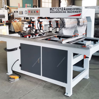 2 Head Multi Boring Machine for Wood Panel Board Drilling in Furniture Cabinet Door