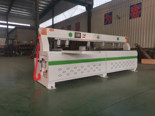 2.2kw*2 Spindle Power Wood Panel CNC Side Drilling Machine with 750 400w Servo Drive Motor